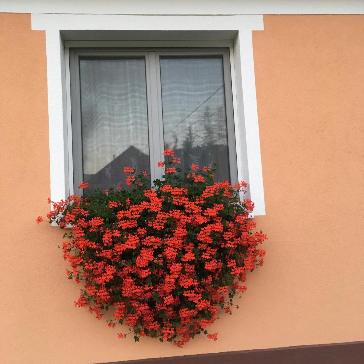 Bakonybél Liliom Vendeghaz酒店 外观 照片